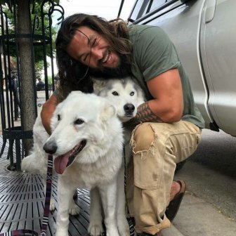 Celebrities With Their Dogs