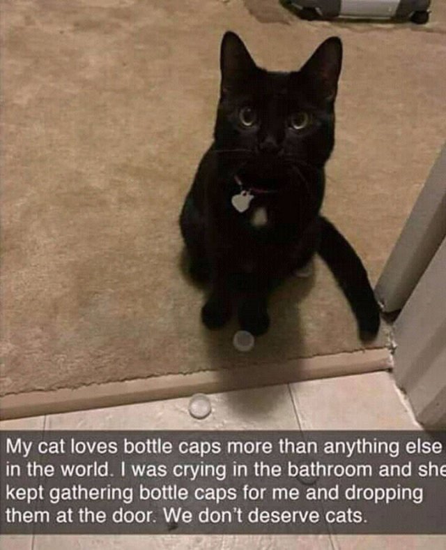 Wholesome Stories, part 44
