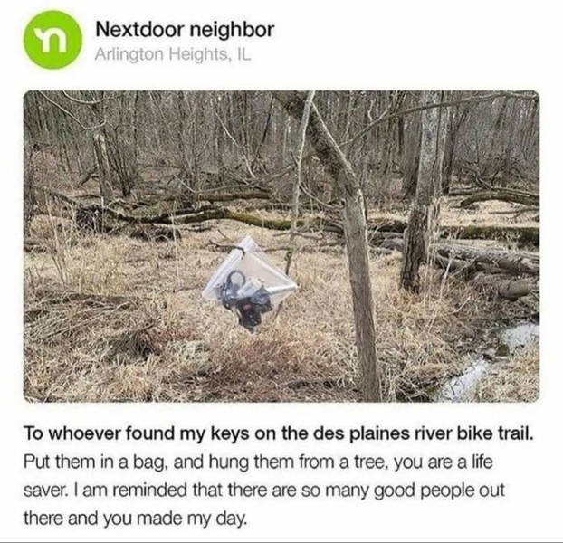 Wholesome Stories, part 44