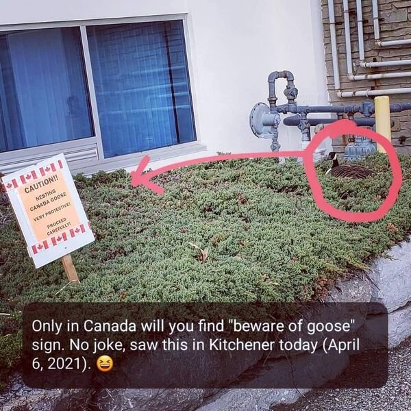 Only In Canada, part 38