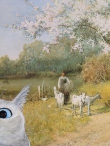 Thrift Shop Paintings