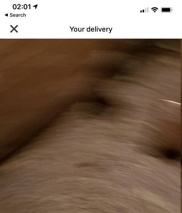 Delivery Wins And Fails