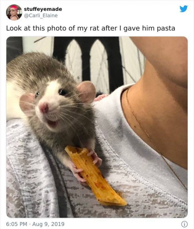 Wholesome Stories, part 46