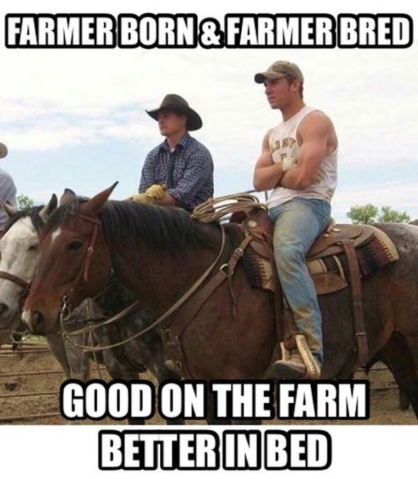 Country Memes, part 2