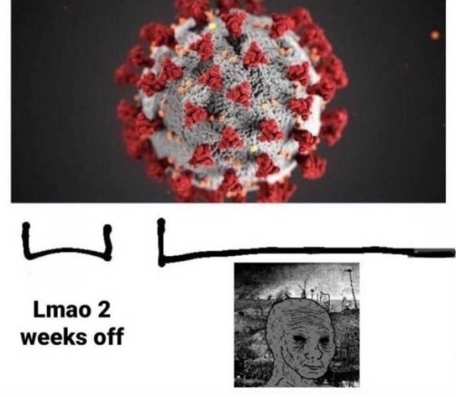 Quarantine Memes, part 15