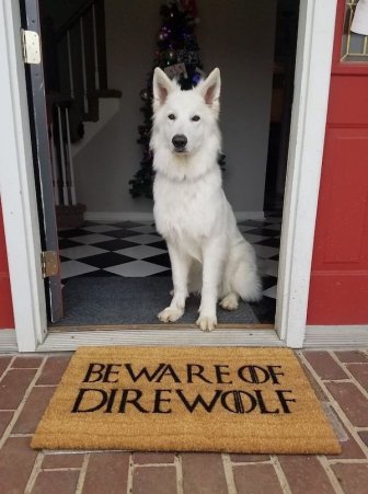 Funny Doormats