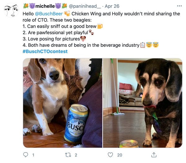 People Create 'Resumes' For Their Dogs