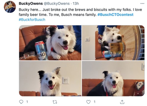 People Create 'Resumes' For Their Dogs