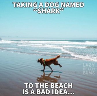 Beach Memes