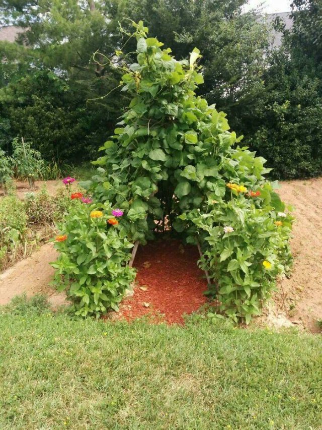 People Show Off Their Gardens And Plants