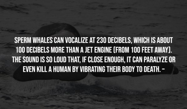 Interesting Facts, part 106