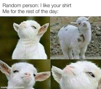 Wholesome Memes