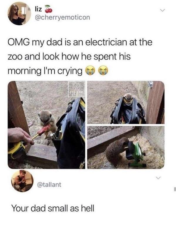 Wholesome Stories, part 49