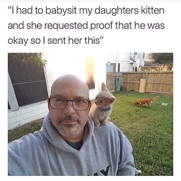Wholesome Stories, part 49