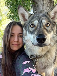Woman And Wolf Become Inseparable Friends