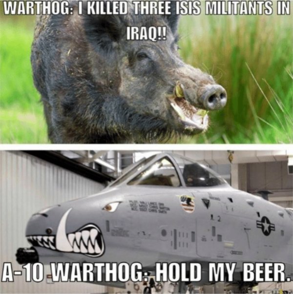 Warthog Memes