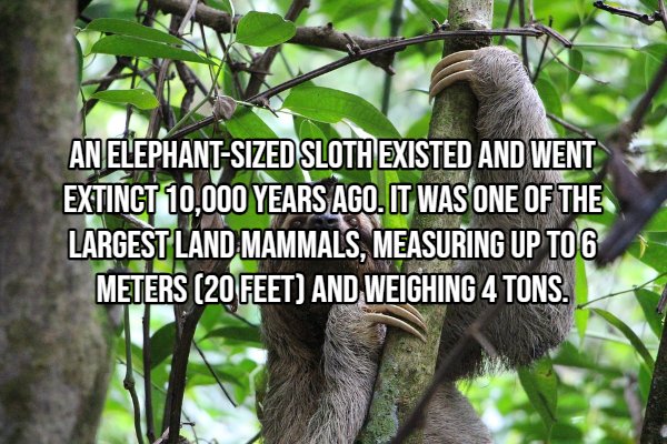 Interesting Facts, part 110