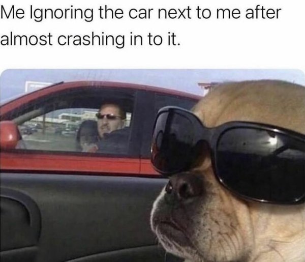 Memes About Driving