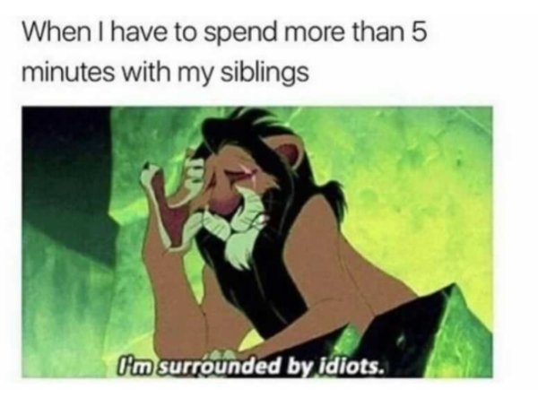Siblings Humor, part 2