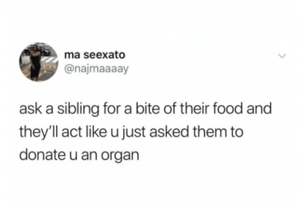 Siblings Humor, part 2