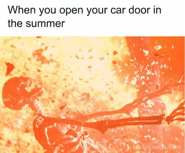 Summer Memes, part 5