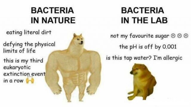 Science Memes, part 3