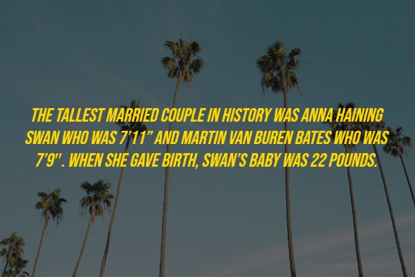 History Facts, part 6