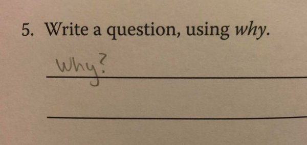 Funny Homework Answers