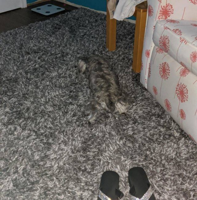 Accidental Camouflage, part 8