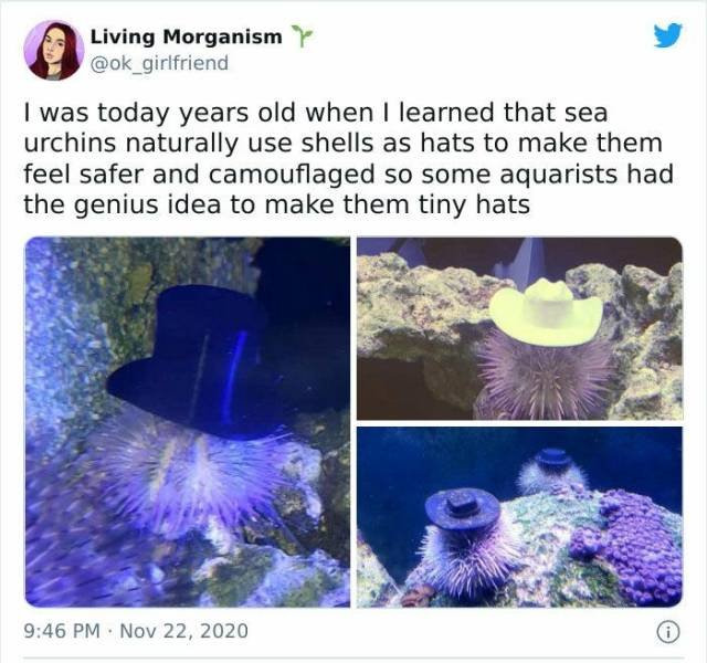 Wholesome Stories, part 52
