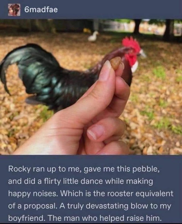 Wholesome Stories, part 52