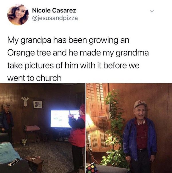 Wholesome Stories, part 53