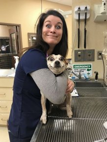 Veterinarians Share Their Patients