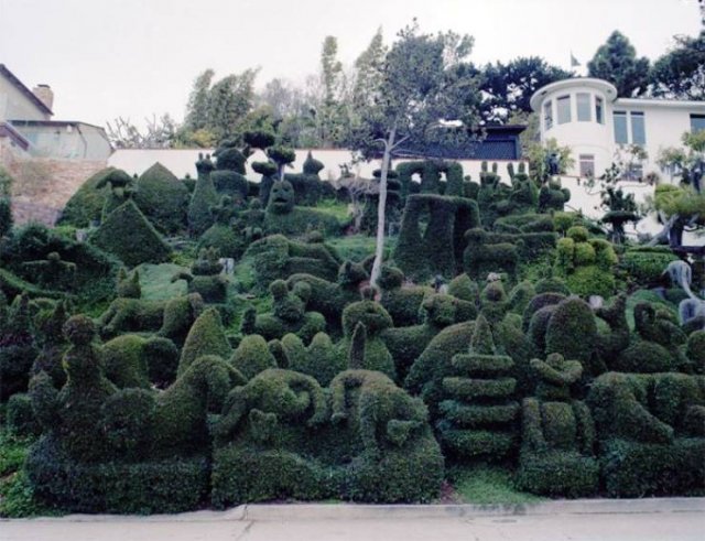 Unusual Gardens