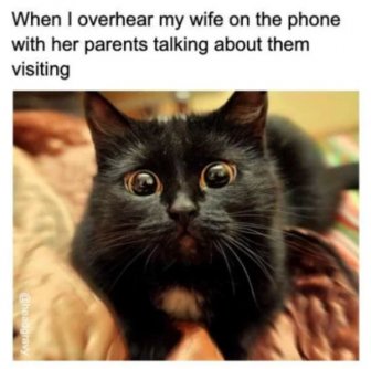 Married Life Humor