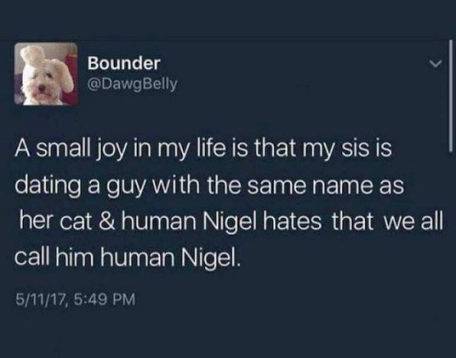 Wholesome Stories, part 56