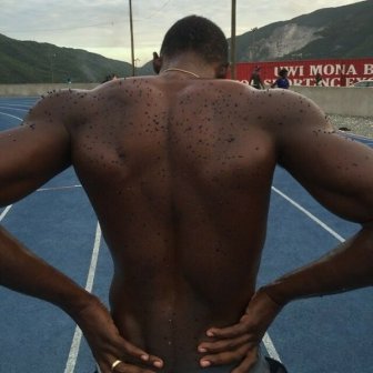 The Real Olympians And Athletes Life