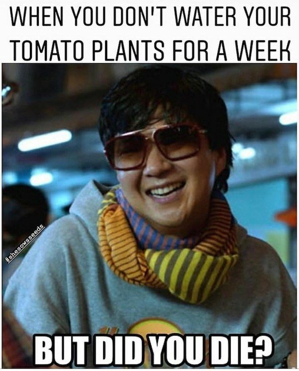 Plant Memes, part 2