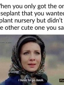 Plant Memes