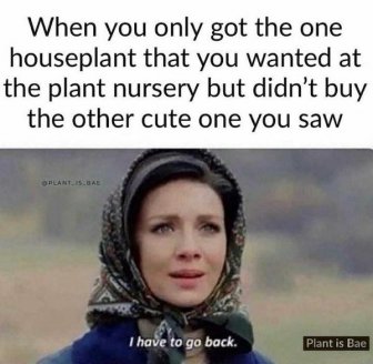 Plant Memes