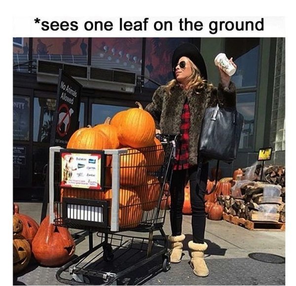 Autumn Humor