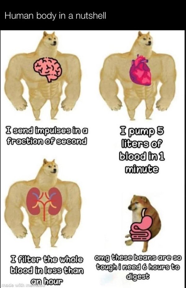 Science Memes, part 5