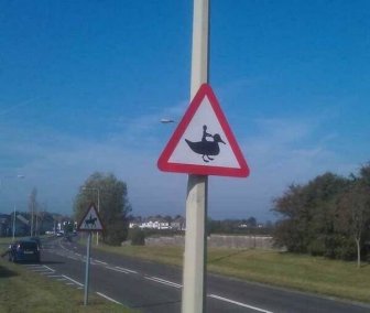 Funny Signs