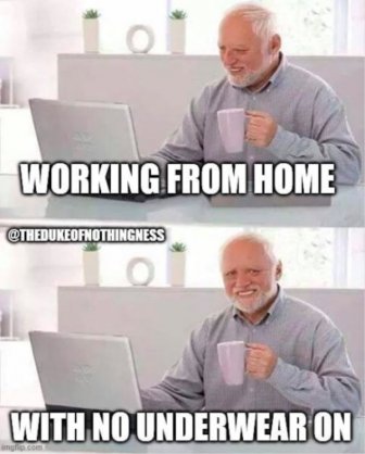 Work From Home Memes