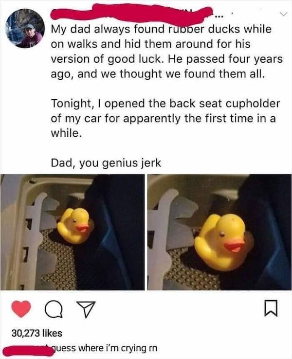 Wholesome Stories, part 59