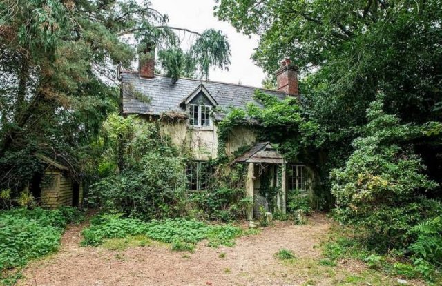 Abandoned Cottage In Verwood
