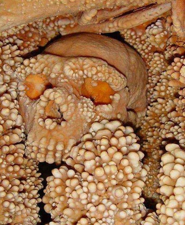 This Is Trypophobia