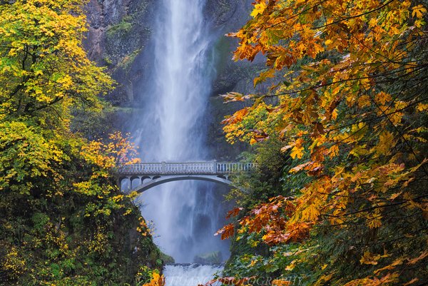 11 Incredible Places To Spend The Fall