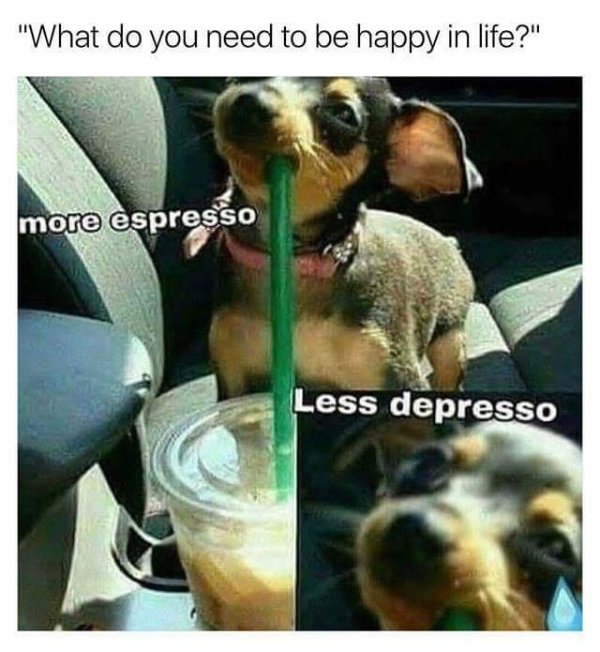 Coffee Memes And Pictures