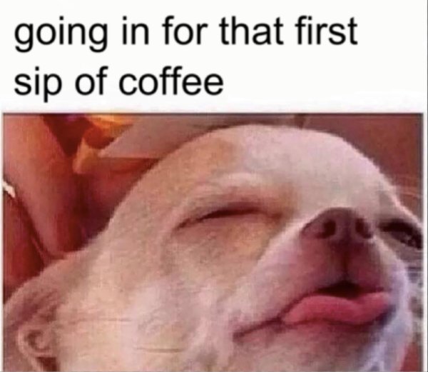 Coffee Memes And Pictures